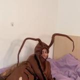 лиза тут главная