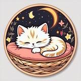 ASMR ЧЕЕЕК / Лайф 🆓