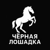 Черная Лошадка: Путь к миллиарду