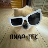 Пиар тгк