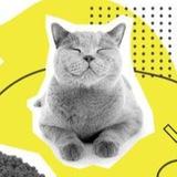 РГ КОРМА