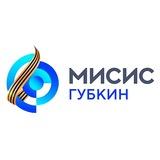 ГФ НИТУ "МИСИС"