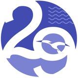 Афиша Поморья 29