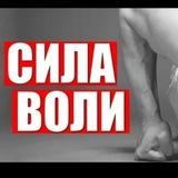 Сила воли