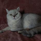 ПЭМ КФ ПЕРЕХОДНИК