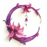 Sveta Moon Blog