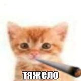 Карась говорит