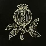⨳Murphinum Opium⨳