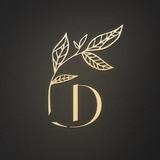 Dariashi_design