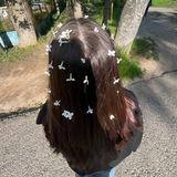 настикс