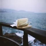 Открытая книга 📖