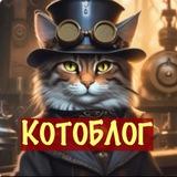 Котоблог - пушистый мир!😻