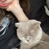 музыкальные высеры велдофи