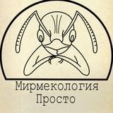Мирмекология– Просто
