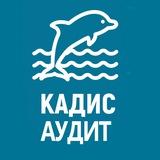 КАДИС АУДИТ - ОТВЕТЫ НА ВОПРОСЫ