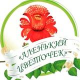 Детский сад №114 «Аленький цветочек»