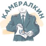 Камералкин 2.0 Оптимизация НДС. Налоги. Кассовые чеки