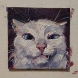 котосижа