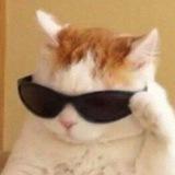 которичка 🐾📢