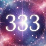 Игра 333