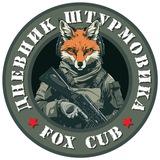 Дневник штурмовика