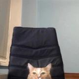 подкованы