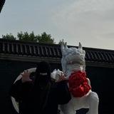 SAIKO