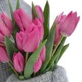 Шаблоны/фоны/стикеры/емоджи