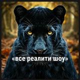 ВСЕ РЕАЛИТИ ШОУ
