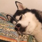 ВИНСТОН ЧЕПЧИК