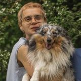 Собака компаньон