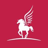 Tulpar Travel - Турция Трансферы и Экскурсии по Турции transferigo.com