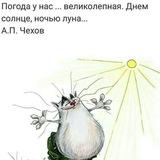 Все смешные животные 🐶🐭🦊🐻