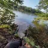 Бесконечное🌳вечное