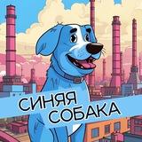 Синяя собака