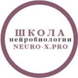 Экзекьютив Эксперт. Школа нейробиологии Neuro-X.Pro для коучей и помогающих профессионалов