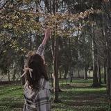 лисьи новости