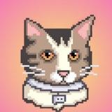 Booba Coin | RU