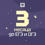 Что делать за 3 месяца до ЕГЭ и ОГЭ? | Умскул