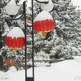 Ai_Zhongwen Образование в Китае