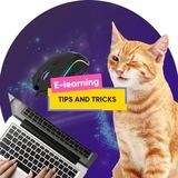 Tips and Tricks