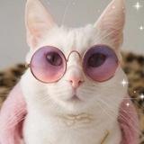 🌸Котяткин дом🌸