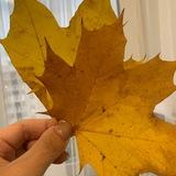 Доходы/расходы
