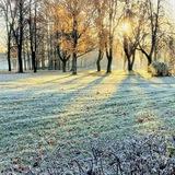 Красота в глазах смотрящего