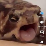 Черкаши Хребта