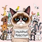 ❤️ Забавные животные или смехозвери