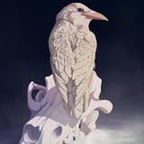 Lady Raven
