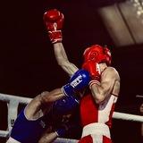 𝑺𝑶𝑩𝑶𝑳_𝑩𝑶𝑿𝑰𝑵𝑮🥊