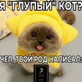 Пост-раб@
