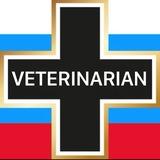 Vet’s blog 🐾